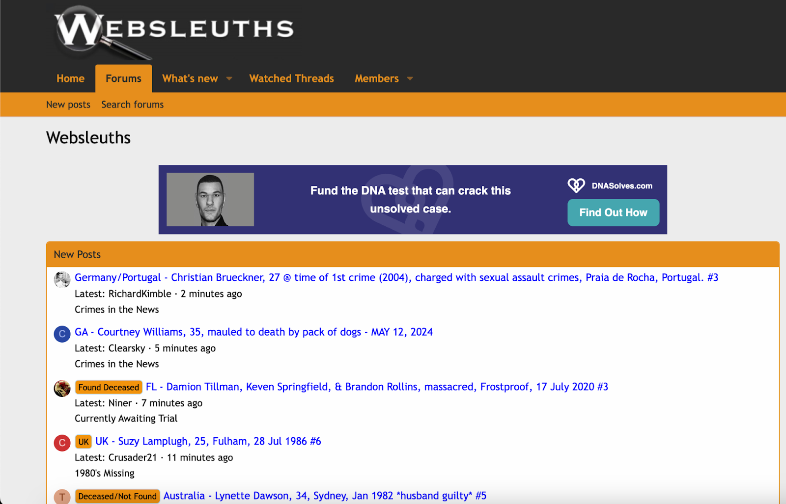 Interactieve websites zoals Websleuths hosten forums waar leden bewijsmateriaal analyseren, theorieën bespreken en samenwerken aan het oplossen van mysteries.