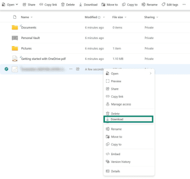 The main OneDrive screen on a browser. A file is selected and the 